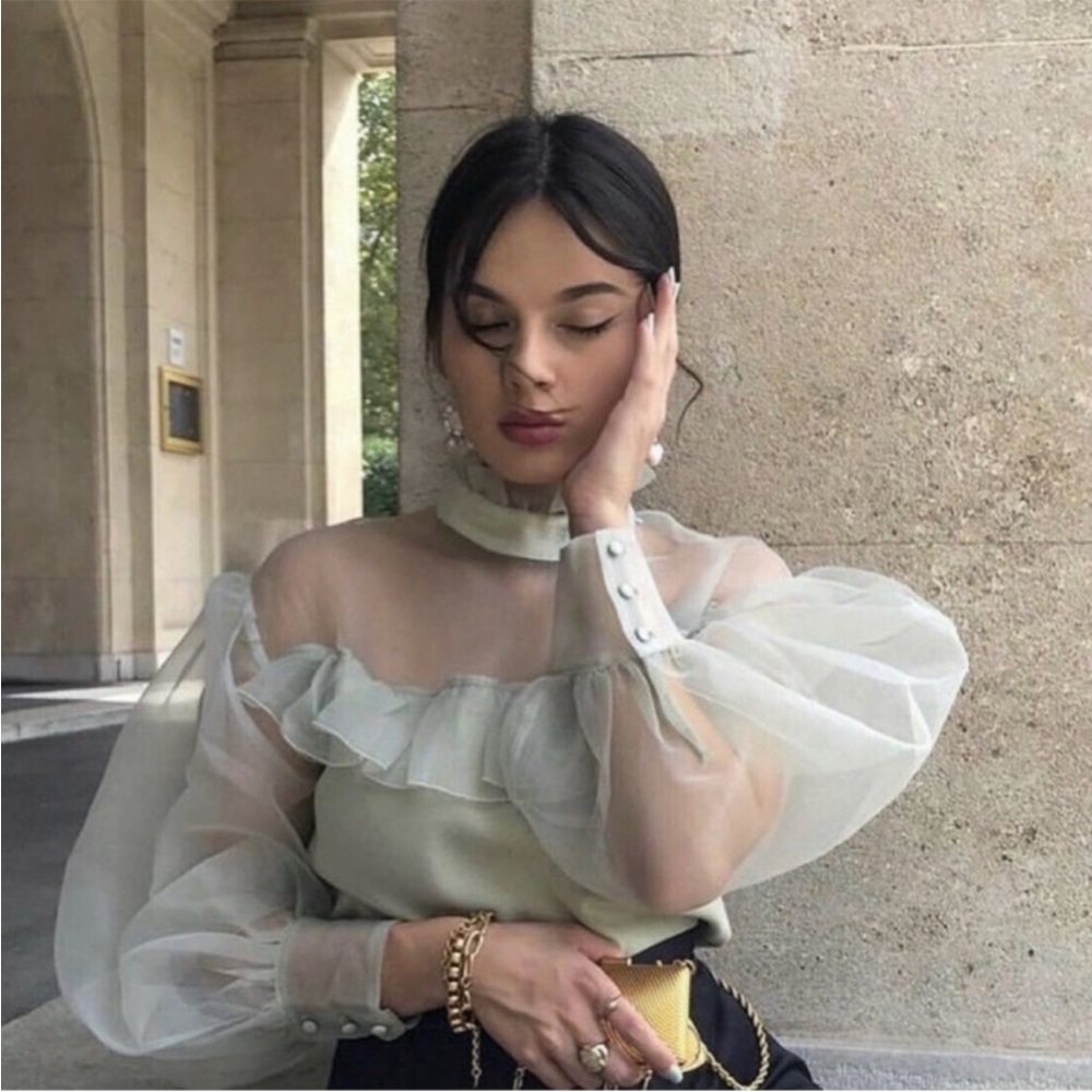 Zara sheer sleeve organza shirt